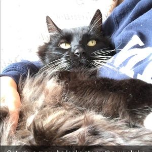 Meet your Posher, Olivia